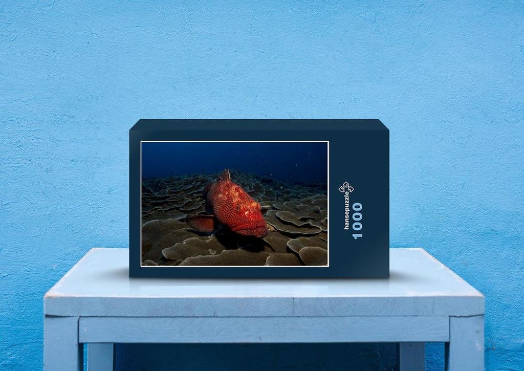 hansepuzzle 82075 - Fisch Puzzle, 1000 Teile, Tierwelt, 60,0 x 46,0cm mit hochwertiger Aufbewahrung, Kartonbox und wiederverschließbarem Beutel