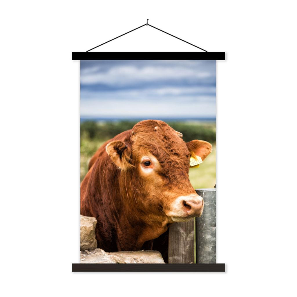 MuchoWow Textilposter Schottischer Highlander - Berg - Zaun 120x180 cm mit schwarzem Rahmen - Fotos