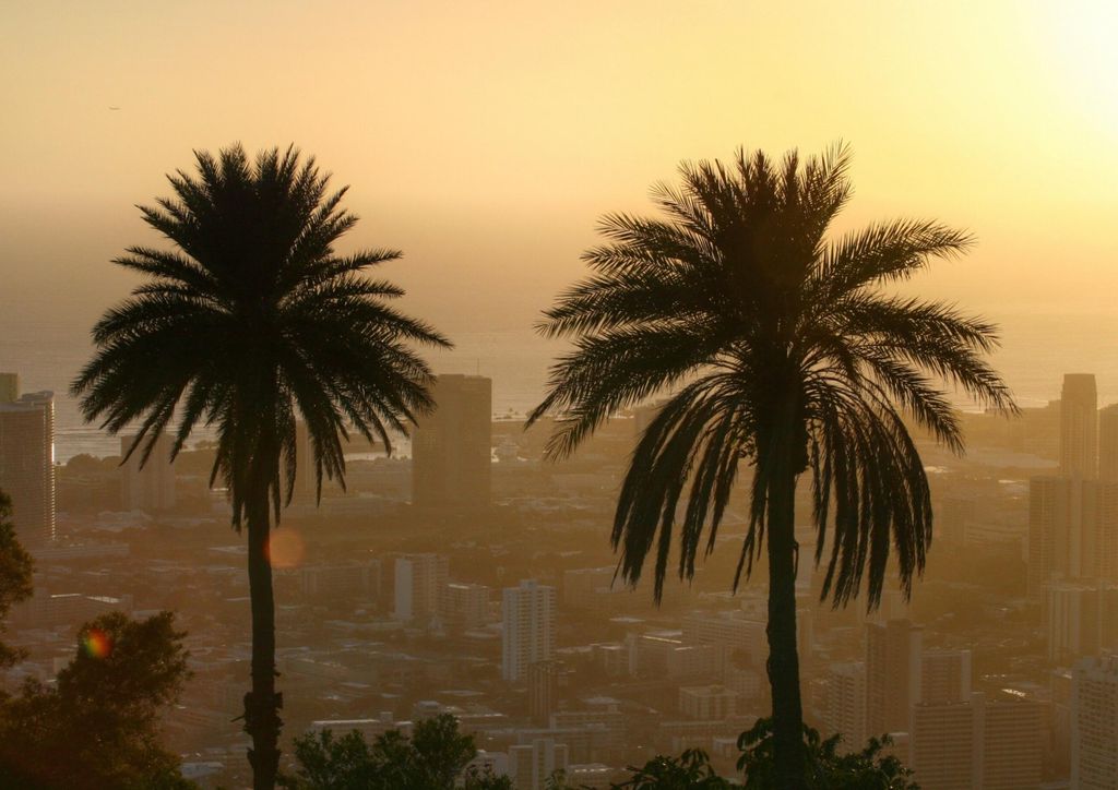 hansepuzzle 102109 - Skyline Puzzle, 260 Teile, Gebäude, 41,0 x 28,0cm mit hochwertiger Aufbewahrung, Kartonbox und wiederverschließbarem Beutel