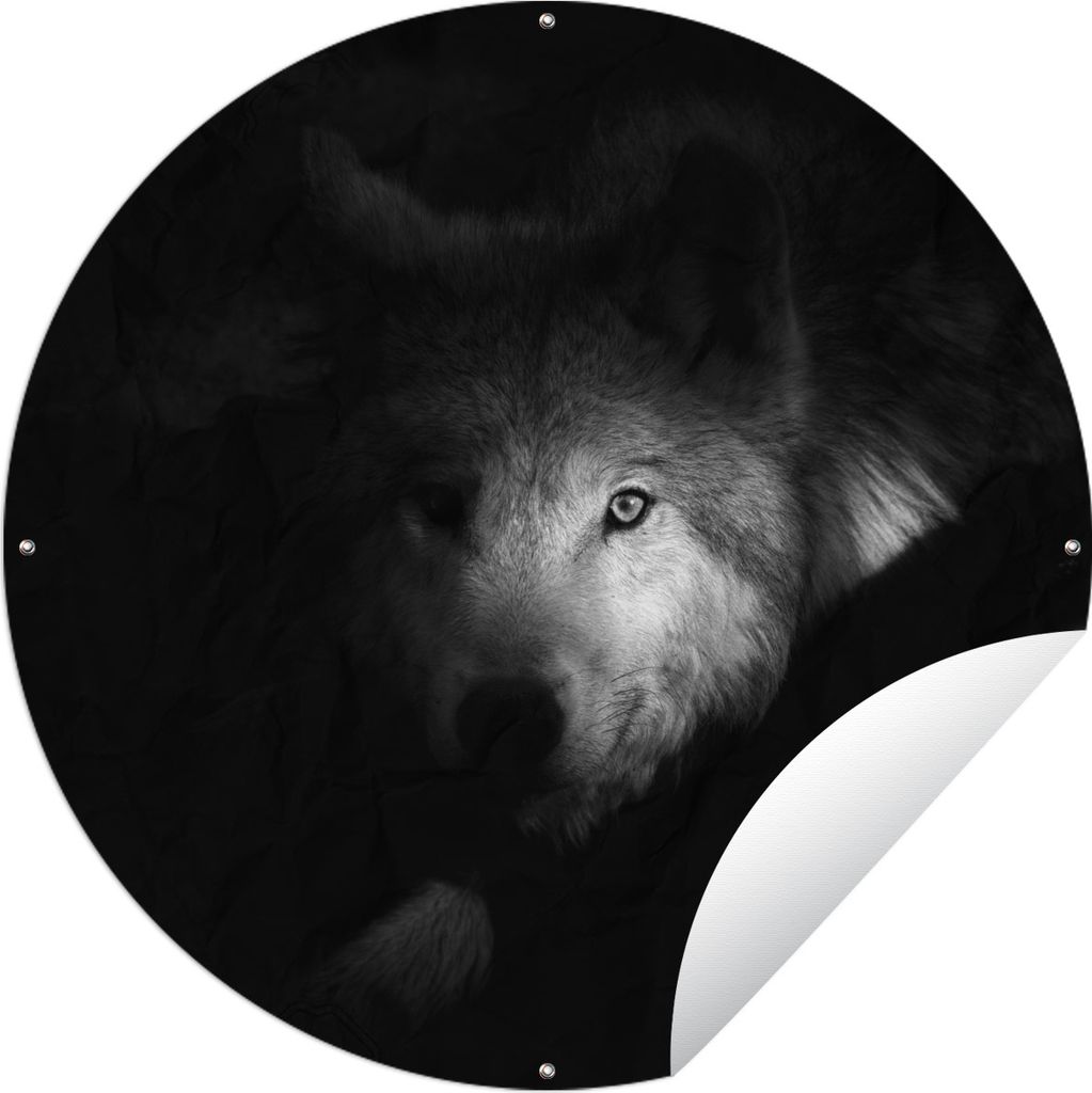 MuchoWow Gartenposter Outdoor-Poster Rund Porträt eines arktischen Wolfs - schwarz-weiß Ø 150 cm Gartendeko Rundes Poster draußen