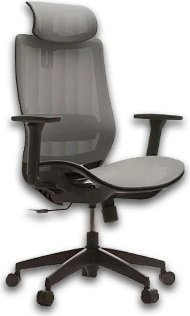Chaise gaming ergonomique BS4G avec dossier inclinable confortable