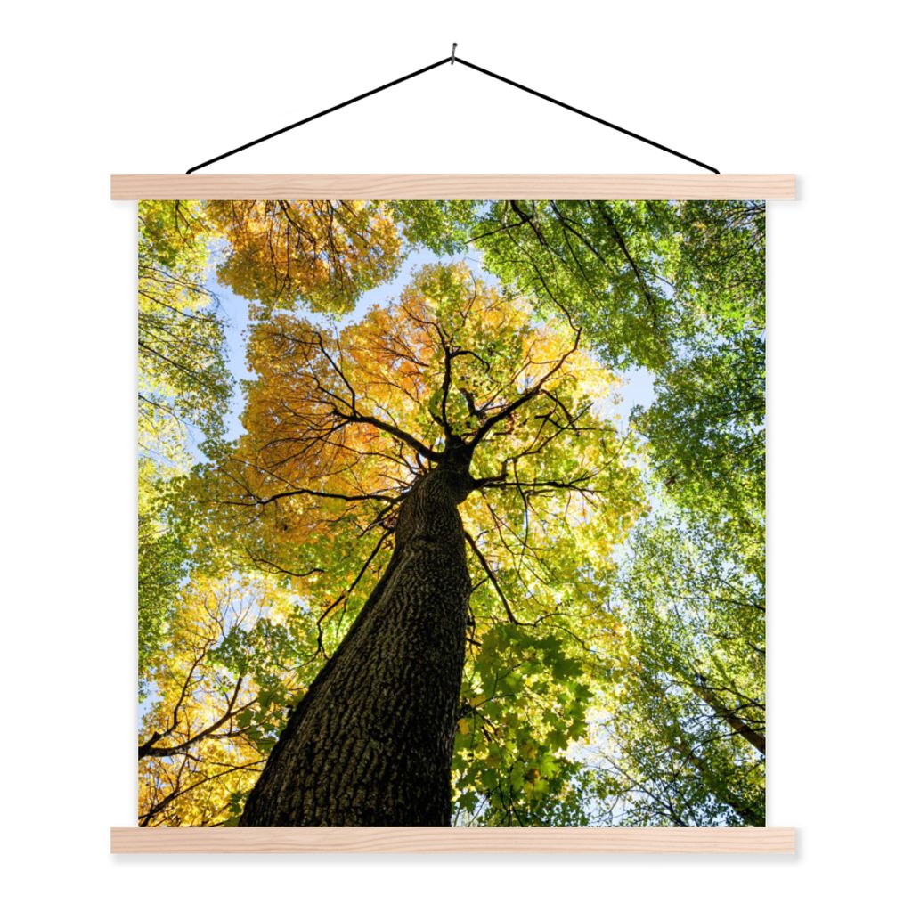 MuchoWow Textilposter Baum - Natur - Wald 120x120 cm mit holzfarbenen Rahmen - Textil-Poster