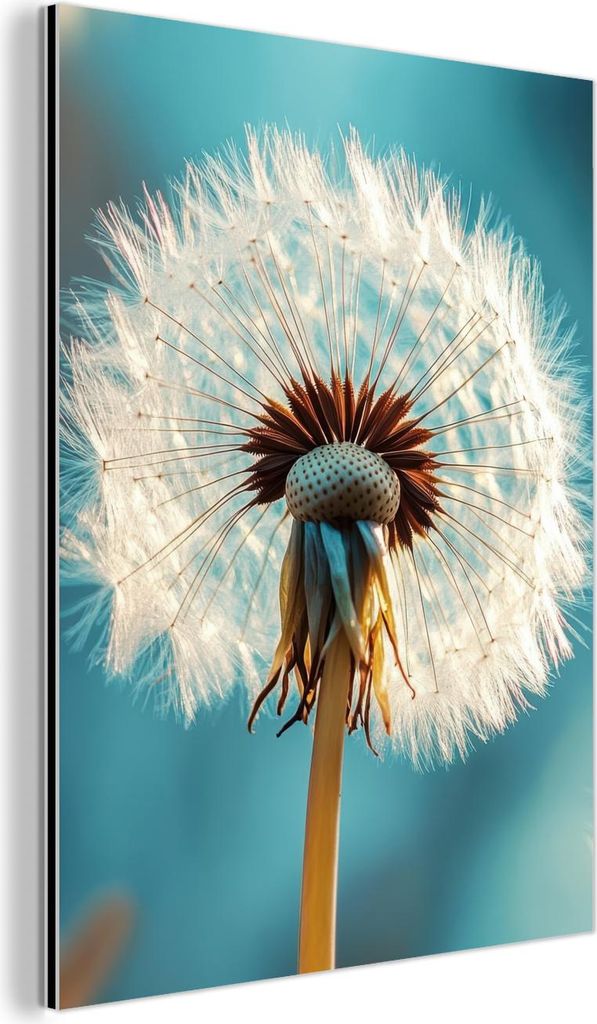 MuchoWow Wanddekoration Metall Metallbild Wandkunst 60x80 cm Löwenzahn - Natur - Blumen - Blau MuchoWow Aluminium Gemälde - Wanddekoration Metall