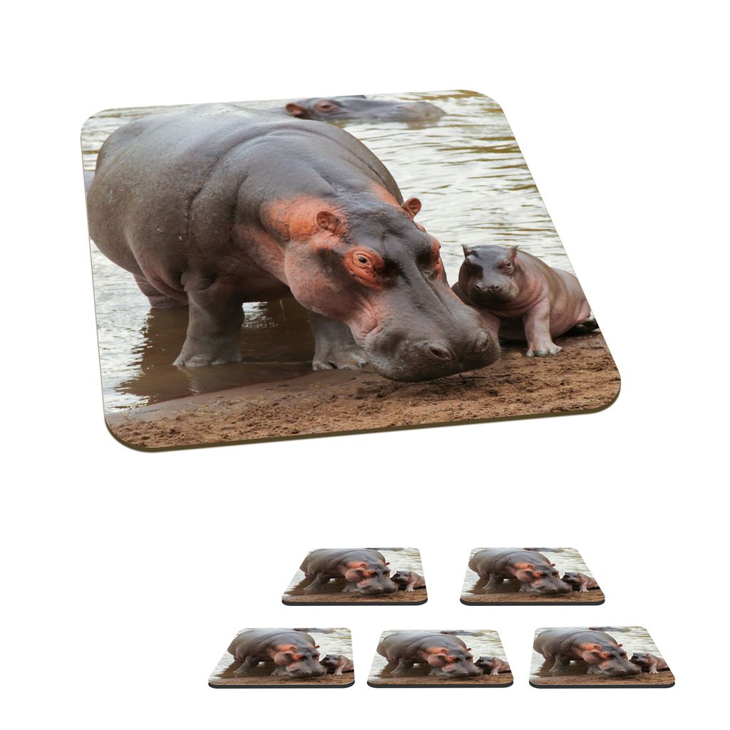 KitchenYeah Glasuntersetzer Quadratisch 6er Set Nilpferde - Wasser - Tiere 10x10 cm Untersetzer für Gläser - Getränkeuntersetzer - Tischplatte...