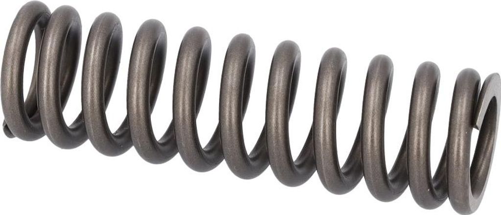 FEBI BILSTEIN Ventilfeder 187754 für SCANIA G II 0,166kg