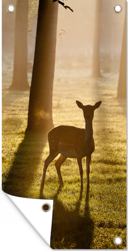 MuchoWow 40x80 cm Outdoor-Poster Gartendeko Sichtschutz Garten Poster für den Garten Hirsche - Sonne - Bäume
