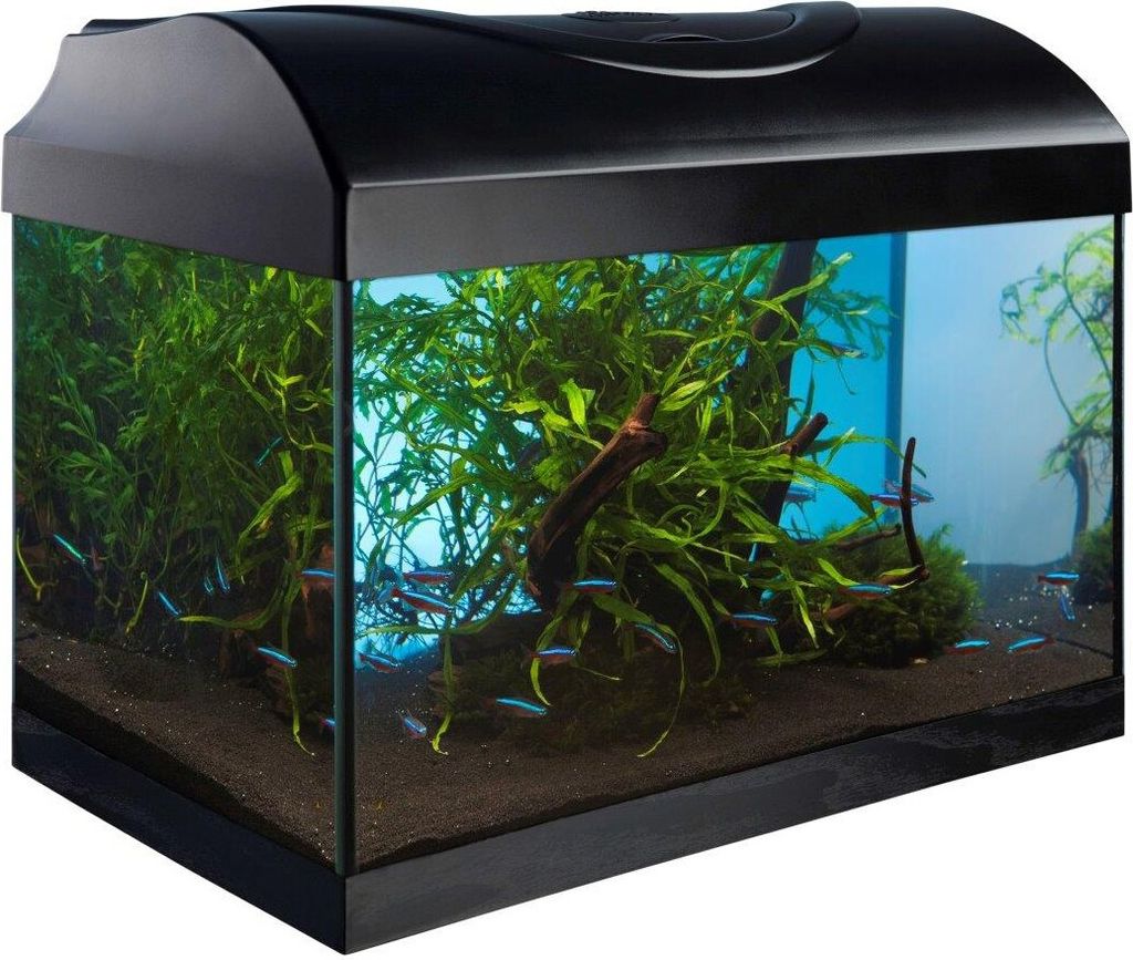 Komplett Set Nano Aquarium Startup 40 schwarz 40x25x25cm rechteckig / 25 L für Einsteiger