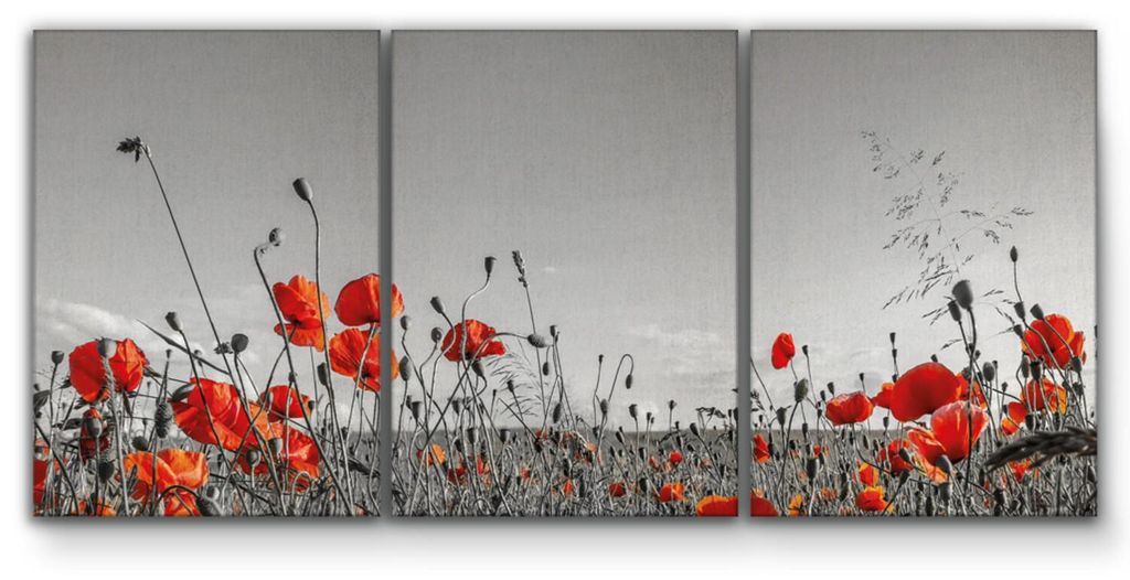 Giallobus - Naturlandschaft - Schönes Mohnfeld - Melanie Viola - 218x100cm | 3pz. x 70x100cm - Bild - Leinwand