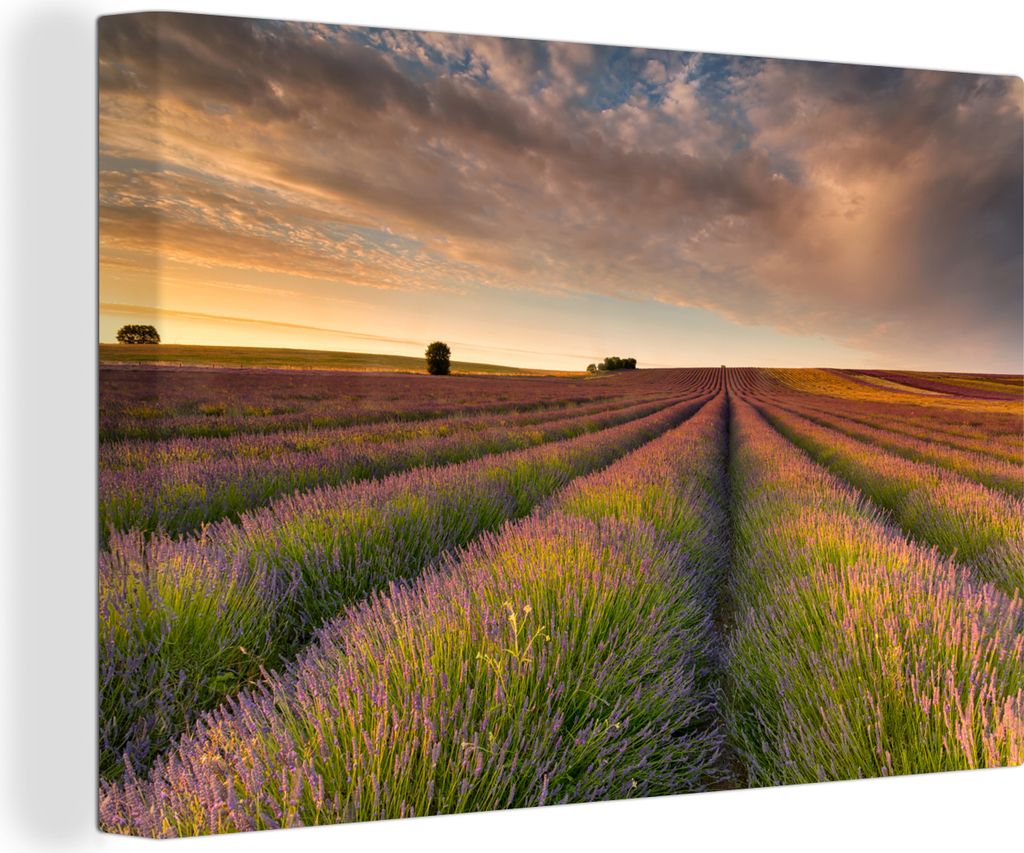 OneMillionCanvasses - Leinwandbilder - 150x100 cm, Wogende Lavendelfelder im Vereinigten Königreich bei Sonnenuntergang, Wandbilder Kunstdruck W...
