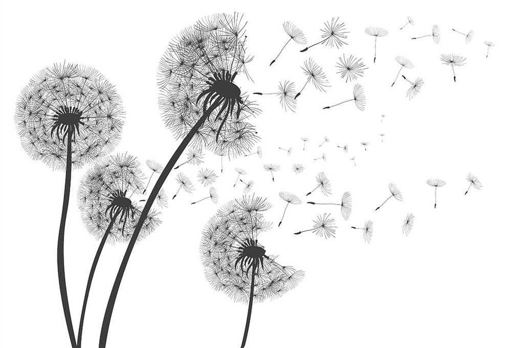 Muralo Fototapete Blumen 90 (B) x 60 (H) cm Vlies Tapete Wandtapeten Wohnzimmer Schlafzimmer moderne Wandbilder XXL Pflanzen Natur Wand Dekoration