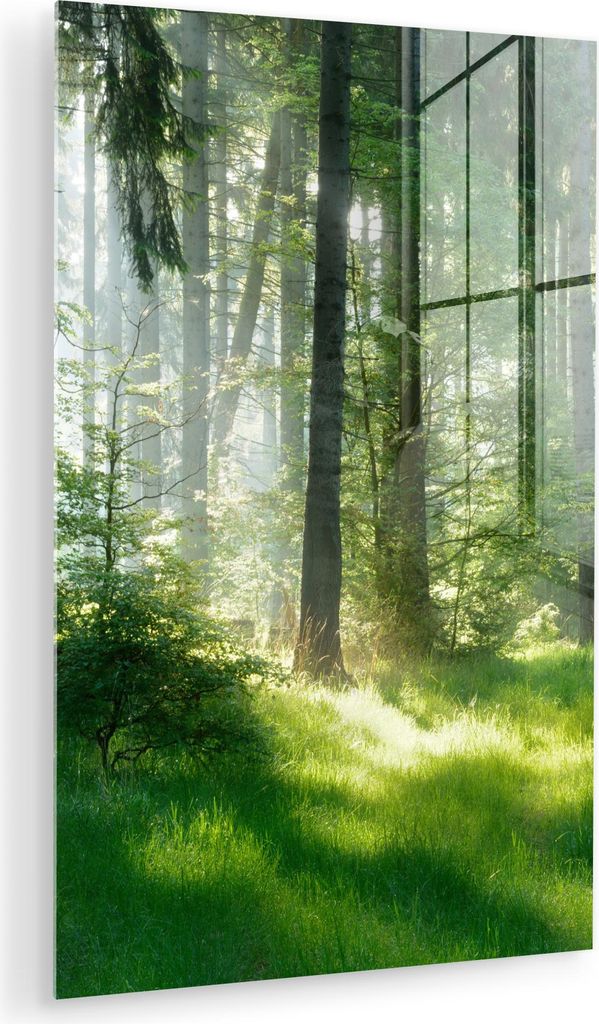 MuchoWow Glasbilder - Bilder auf Wandbild - Foto auf Glas Natur - Bäume - Wald - Grün - Sonne - Gras - Pflanzen 20x30 cm Wanddekoration aus Glas ...