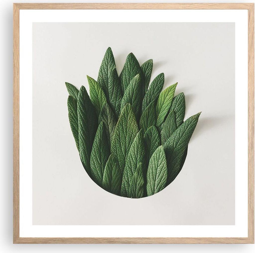 Gerahmtes Poster - Rahmen in heller Eiche - Salbei Medizin Blätter - 60x60 cm - Wand Bild - Wanddeko - Wandbilder - Kunstposter - Wandposter - Bil...