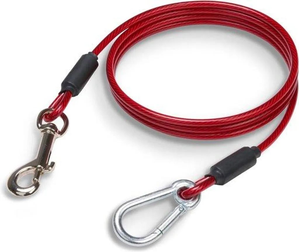 Laisse de dressage rouge 1,5m pour chien : confort et contrôle idéal