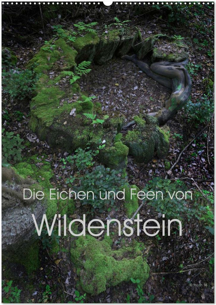 Die Eichen und Feen von Wildenstein (Wandkalender 2026 DIN A2 hoch), CALVENDO Monatskalender