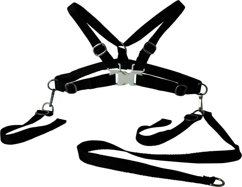 sunnybaby 100660 - Kinderschutzgurt mit Laufleine ׀ Textil ׀ Farbe: schwarz ׀ optimierte Passform ׀ Germany