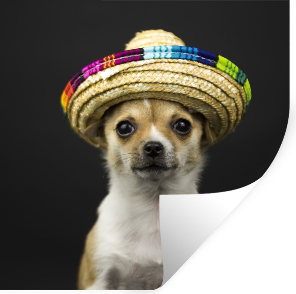MuchoWow Wandtattoo Wandsticker Wandaufkleber Hund - Sombrero - Schwarz 50x50 cm Selbstklebend und Repositionierbar - Selbstklebend - Fototapeten
