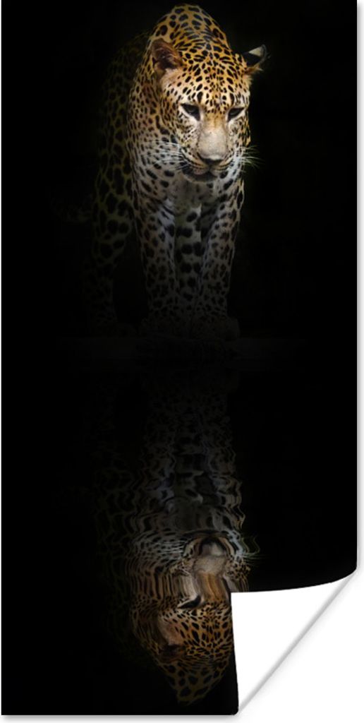 MuchoWow Poster Leopard - Reflexion - Schwarz 75x150 cm - Dekoration für die Wände