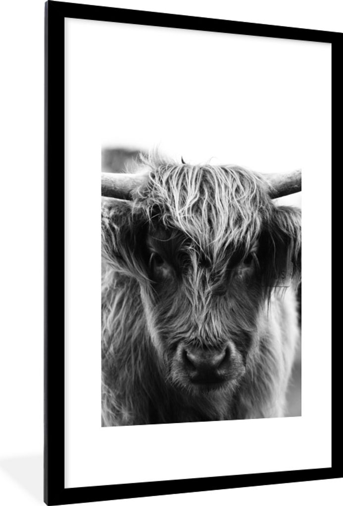 MuchoWow Gerahmtes Poster Schottischer Highlander - Kuh - Gras - Tiere - Natur 60x90 cm - Poster mit Schwarzem Bilderrahmen Wandposter Rahmen Fot...