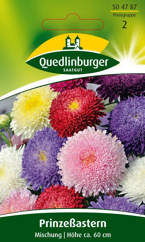 Aster Prinzeß-Mischung Blumensamen Quedlinburger Produktbild 