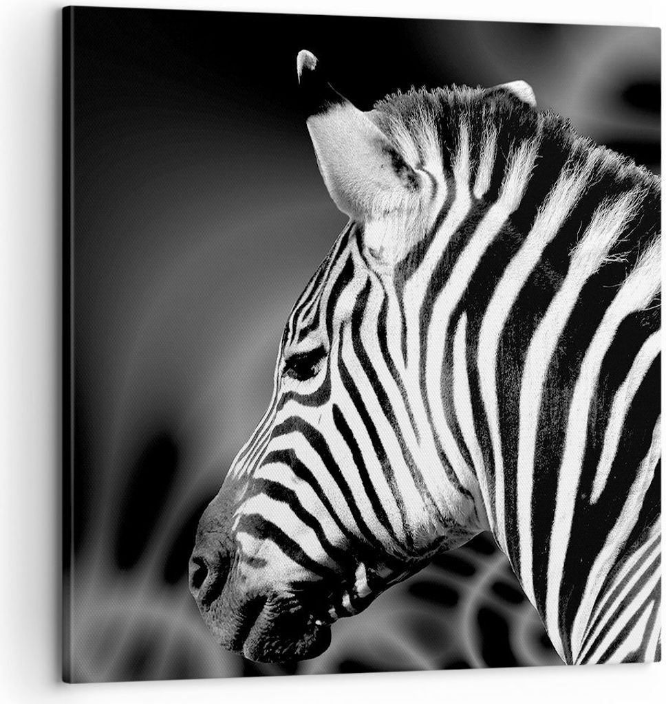 Bild auf Leinwand - Leinwandbild - Tier Zebra Streifen - Produktbild 