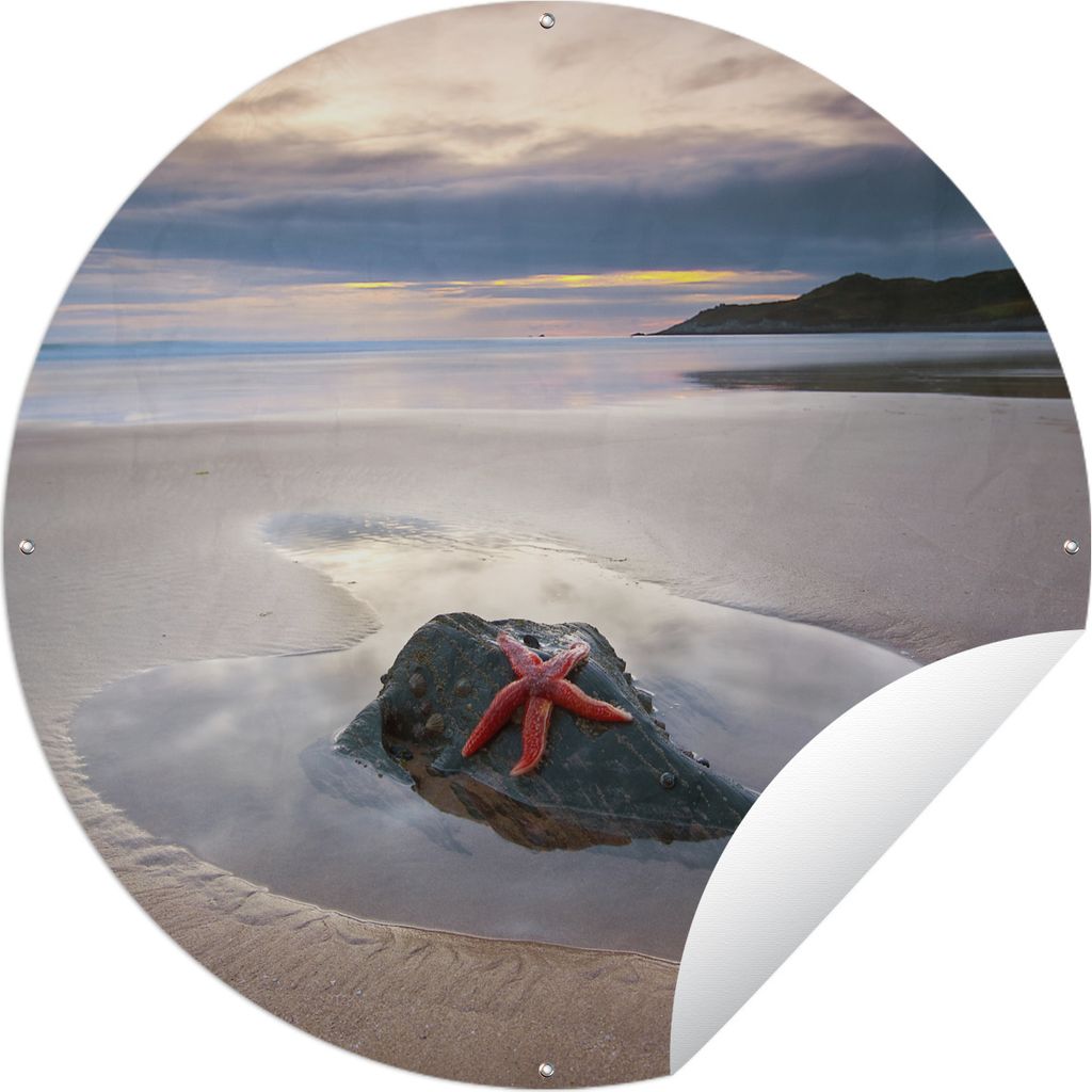 MuchoWow Gartenposter Outdoor-Poster Rund Seestern - Strand - Sonne Ø 120 cm Gartendeko Rundes Poster draußen