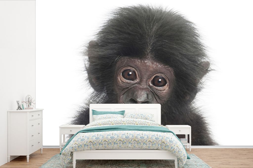 MuchoWow Fototapete für Wohnzimmer oder Schlafzimmer Wandtapete Vinyl Motivtapete Affe - Tiere - Natur - Schimpanse - 420x280 cm - Zimmer für K...