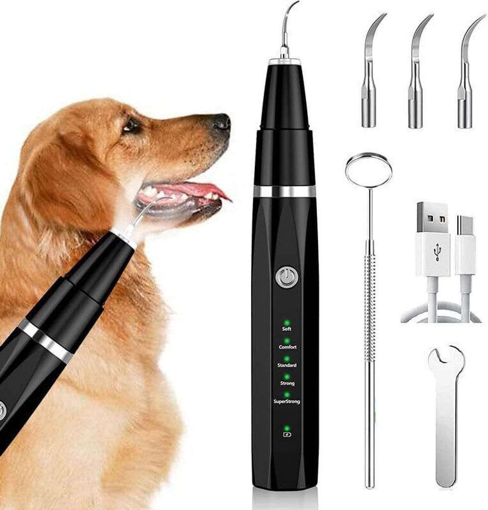 Zahnsteinentferner Zahnreiniger Ultraschall für Hund und Produktbild