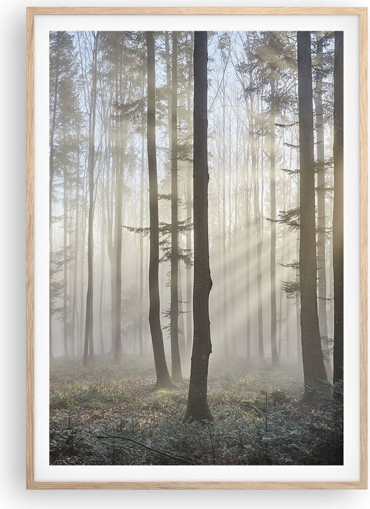 Gerahmtes Poster - Rahmen in heller Eiche - Wald Baum Natur - 70x100 cm - Wand Bild - Wanddeko - Wandbilder - Wandposter - Bilderrahmen - Bilder - ...