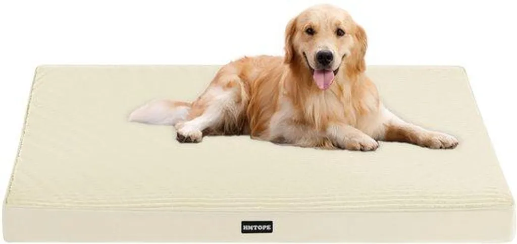 Lit orthopédique pour chien beige - Couchage 10 cm taille M à L