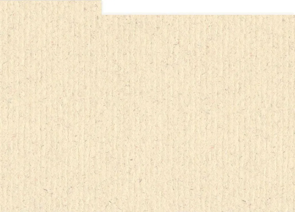 Organiser sa Photothèque avec 10 Cartes Séparatrices HNFD 15x20 cm