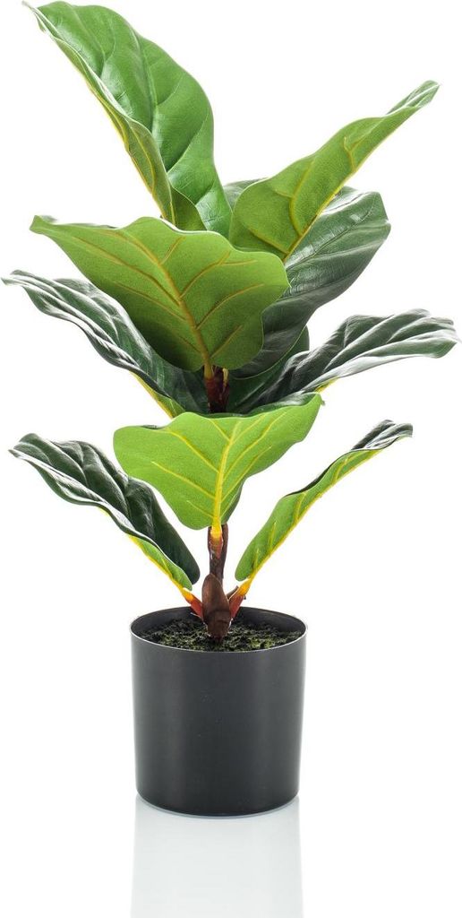 artplants.de Künstlicher Ficus Lyrata Emiliana, grün, 55cm - Künstliche Grünpflanze