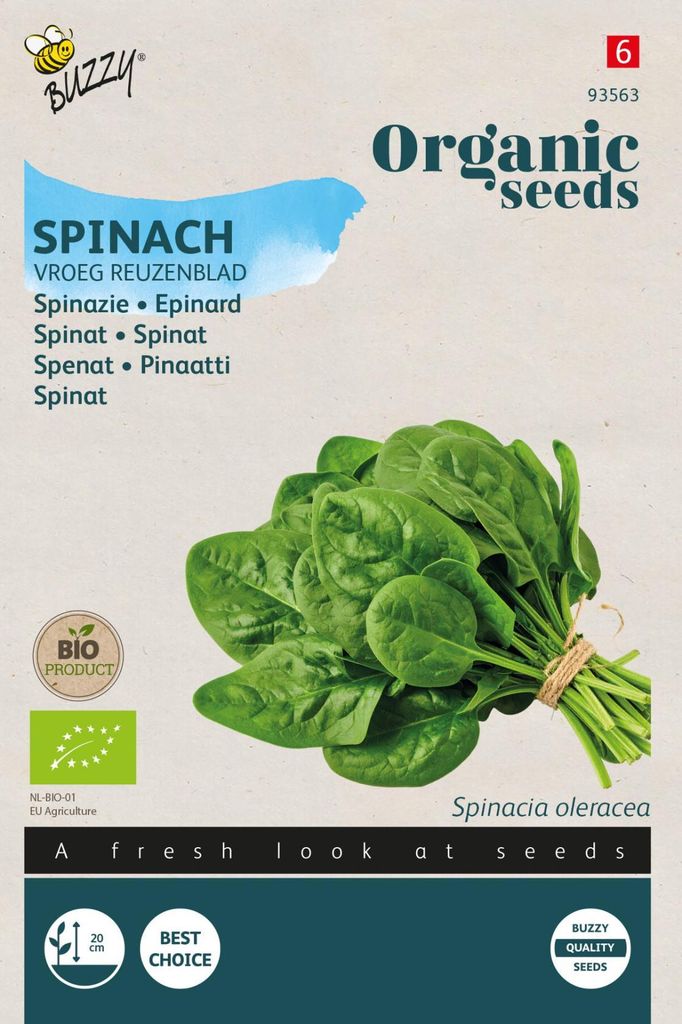 Spinat Early Giant Leaf | Spinatsamen von Buzzy Seeds