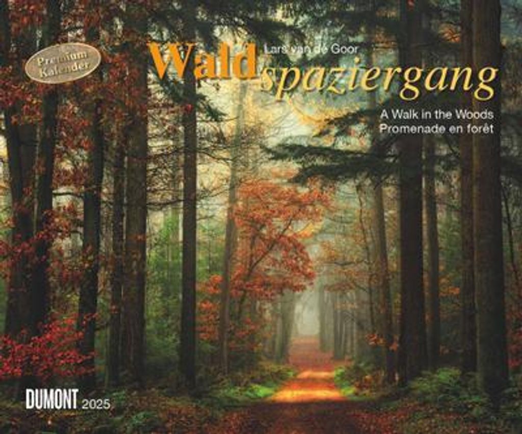 Waldspaziergang 2025 - Fotokunst-Kalender - Querformat 60 x 50 cm - Spiralbindung