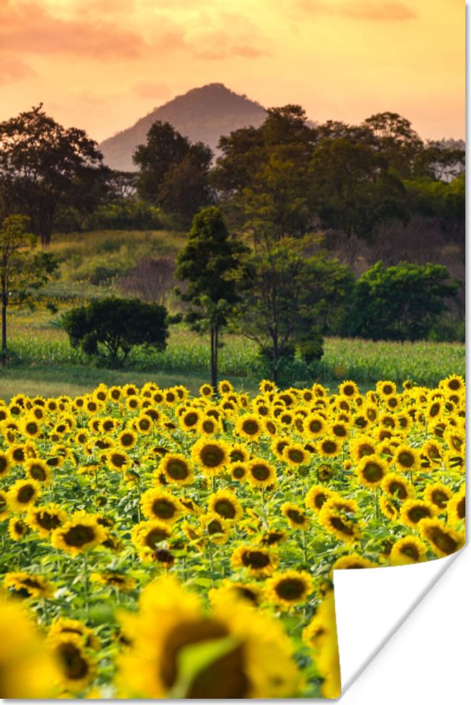 MuchoWow Poster Sonnenblume - Natur - Berg 40x60 cm - Plakate für die Wand - Poster Babyzimmer