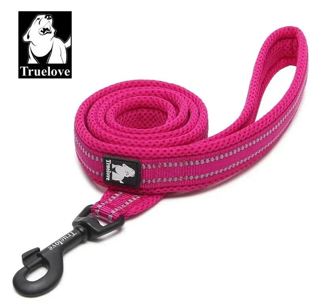 Laisse longue fuchsia pour grand chien avec sangle robuste de 200 cm et L