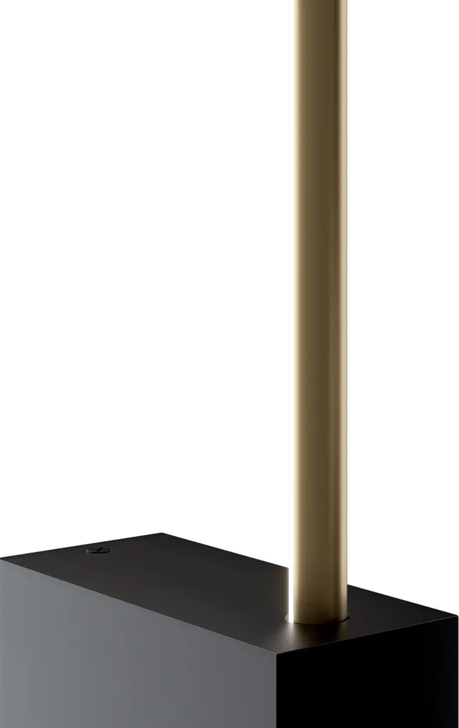 Applique murale LED Salon et Chambre Maytoni PARS 3000K Noir Or