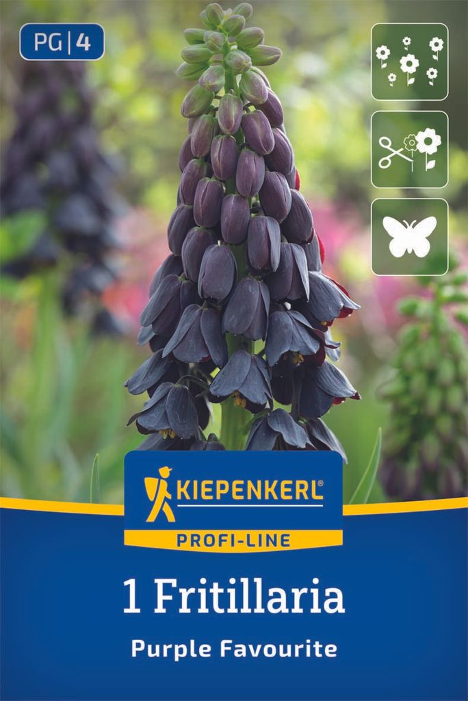 Kiepenkerl Profi-Line Persische Kaiserkrone Purple Produktbild 