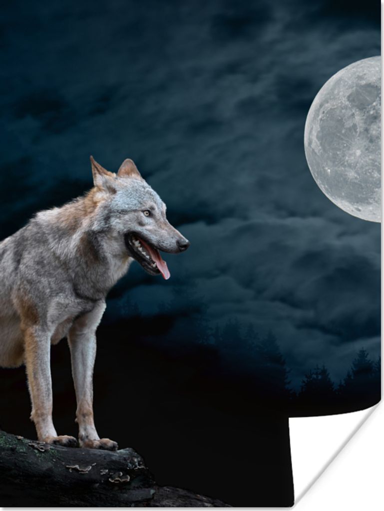 MuchoWow Poster Wolf - Mond - Nacht - Tiere - Porträt 90x120 cm - Wohnzimmer
