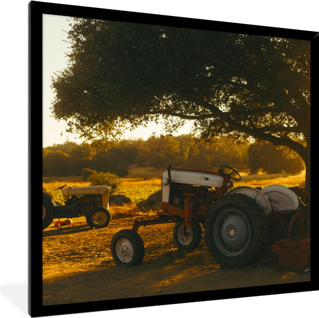 MuchoWow Gerahmtes Poster Traktor - Sonne - Baum - Landschaft 40x40 cm - Poster mit Schwarzem Bilderrahmen Wandposter Rahmen Foto Bilder - Mit Ra...