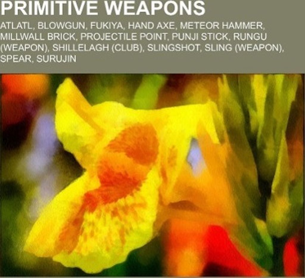 Primitive weapons