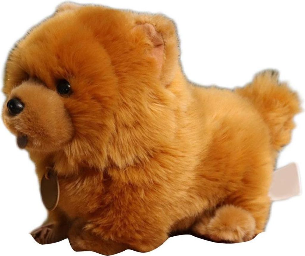 25 cm (10 Zoll) süßer Chow Hund Plüschspielzeug weich gefülltes Tier flauschiger Puppen -Kissen -Sofa Couch Schlafzimmer Dekor Geschenke