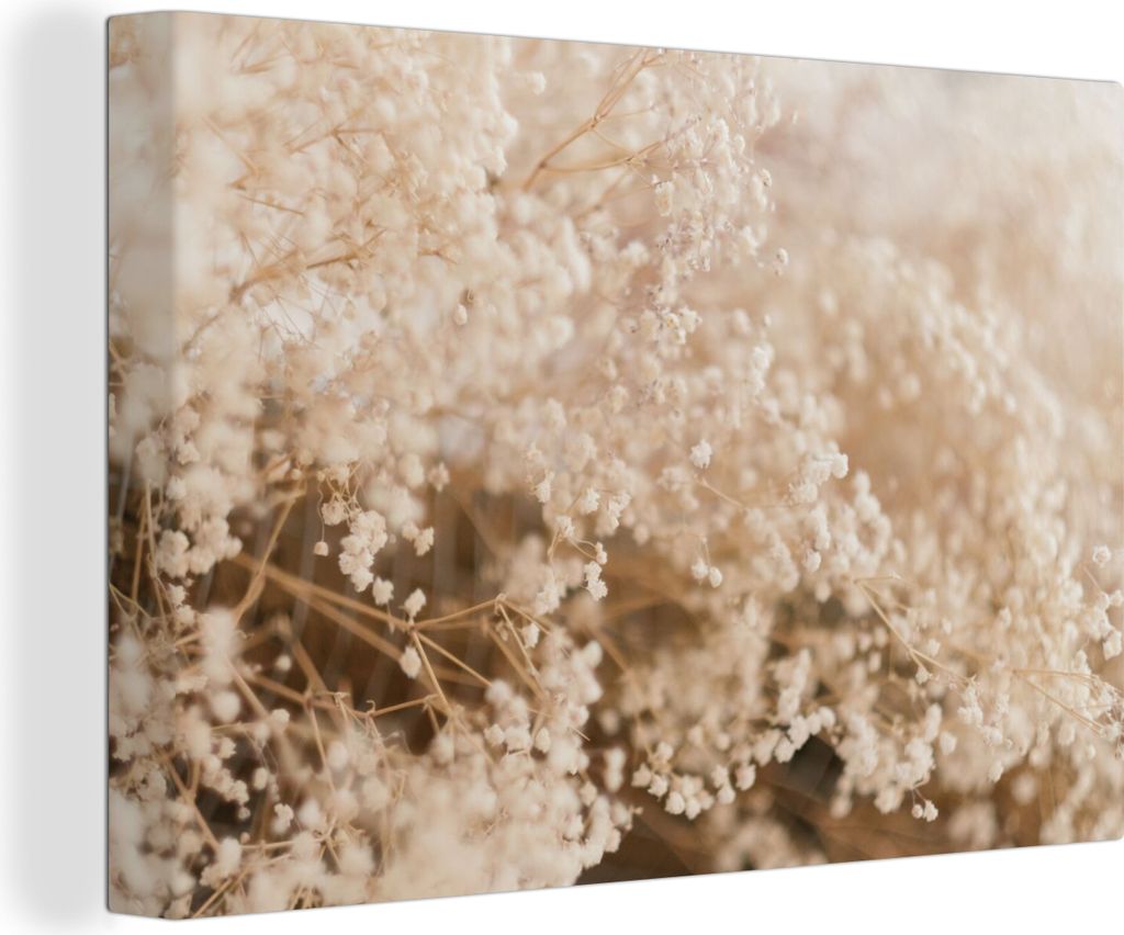 OneMillionCanvasses - Leinwandbilder - 140x90 cm, Pampasgras - Pflanze - Natur, Wandbilder Kunstdruck Wanddekoration - Foto auf Leinwand - Gemäl...