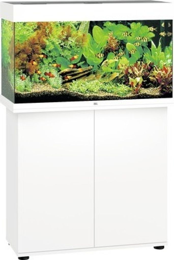 Aquariumkombination JUWEL Rio 125 SBX mit LED-Beleuchtung, Produktbild 