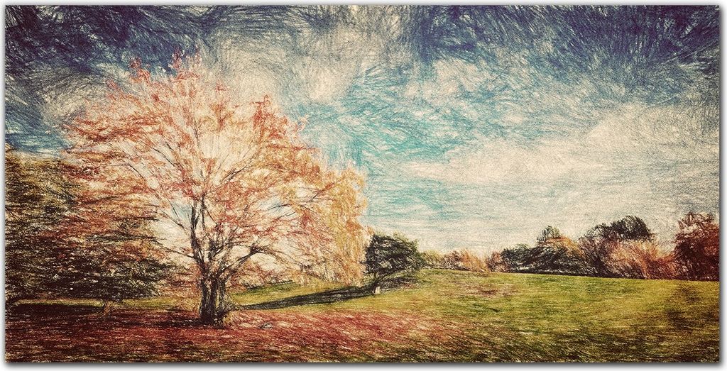 Coloray Küchenrückwand 100x50 Spritzschutz aus Glas - Las Himmel