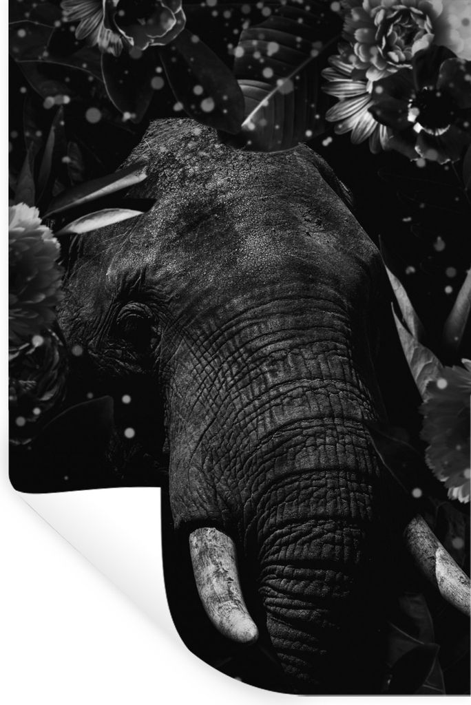 MuchoWow Wandtattoo Wandsticker Wandaufkleber Botanischer Elefant mit hellen Kugeln auf abgedunkeltem Hintergrund - schwarz und weiß 80x120 cm S...
