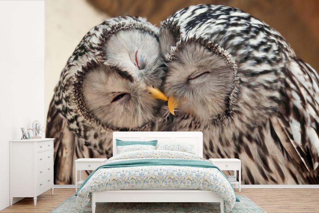 MuchoWow Fototapete für Wohnzimmer oder Schlafzimmer Wandtapete Vinyl Motivtapete Eulen - Vögel - Schnabel - Familie - 525x350 cm - Das Hinterg...