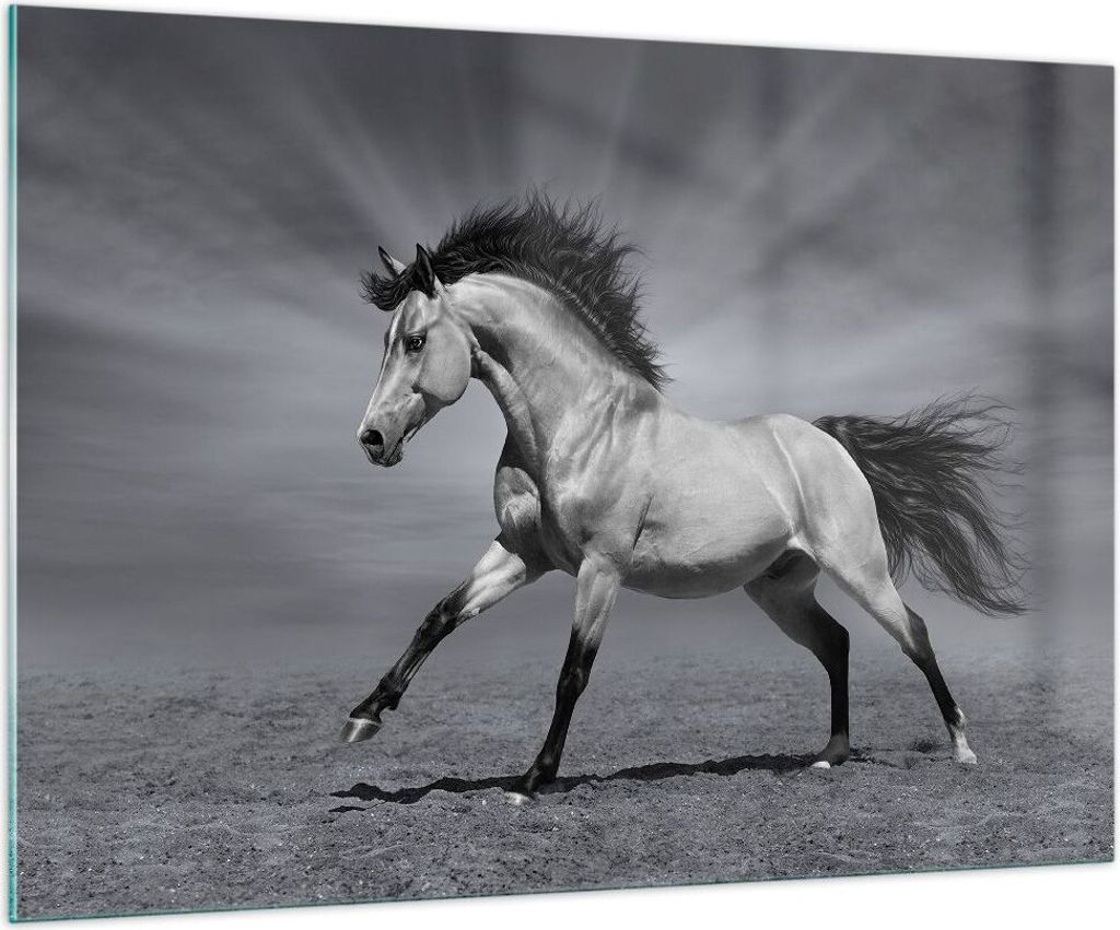 Bilder auf glas - Pferd Tier Natur - 100x70cm - Glasbilder - Wandbilder - Kunstdruck - zum Aufhängen bereit - Wanddekoration aus Glas - Glas Bilde...