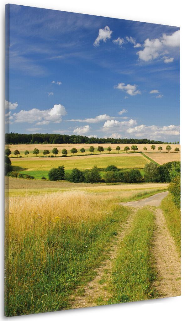 Wallario Premium Leinwandbild Feldlandschaft unter blauem Himmel in Größe 60 x 90 cm