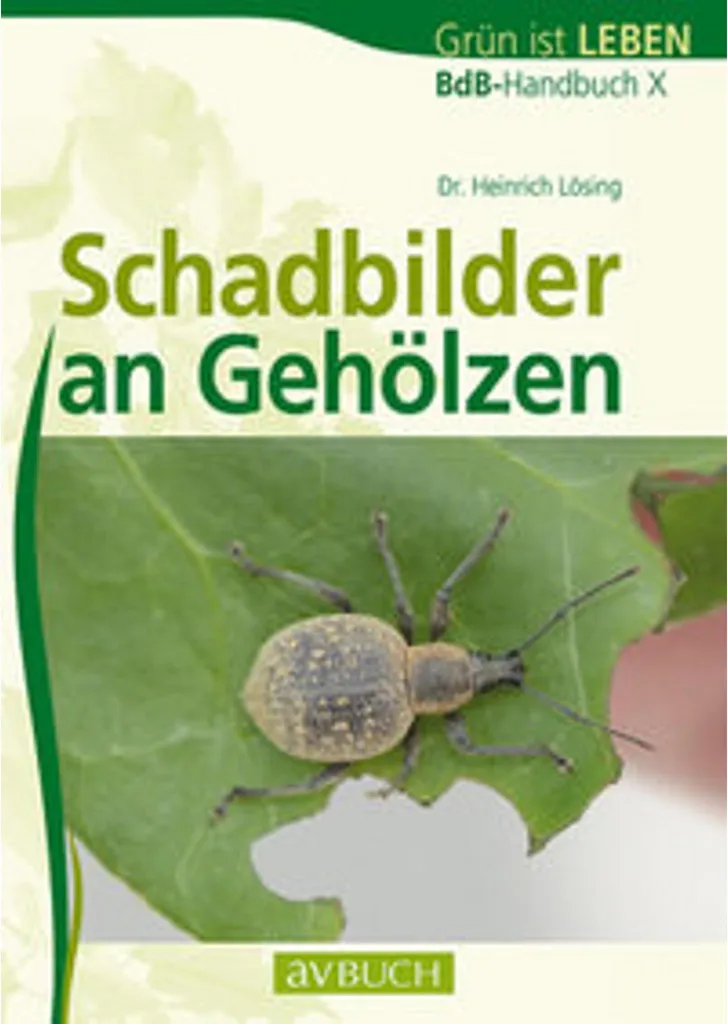 Schadbilder an Gehölzen : Atlas illustré des ravageurs du bois mort