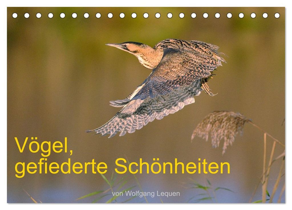 Vögel, Gefiederte Schönheiten (Tischkalender 2027 DIN A5 quer), CALVENDO Monatskalender